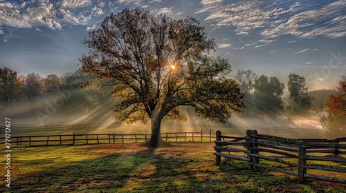  A lone tree stands amidst a vast open field, its silhouette framed by an old wooden fence High above, golden rays of sunlight pierce through the wispy gray