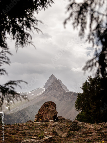 landscape in the morning