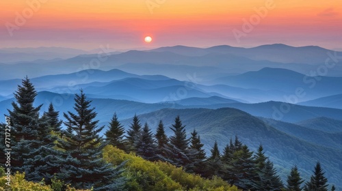  The sun sets over a mountain range, dwarfed by tall trees in the foreground and a hazy sky in the background