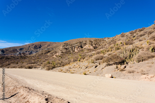 Bolivian dirt road view,Bolivia
