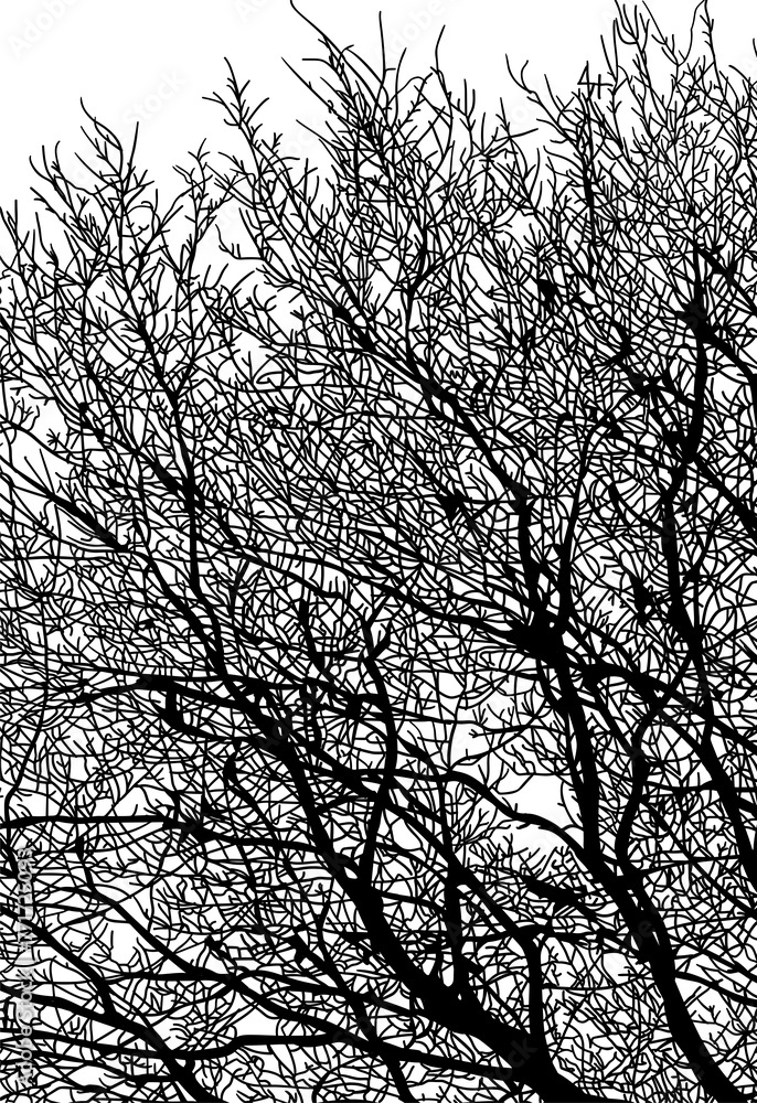arboles, vector, silueta, paisaje, arbol, florecer, ramas, hojas, bosque, ilustracion, arte, naturaleza, descanso, follaje, textura arboles, vector, silueta, paisaje, arbol, florecer, ramas, hojas, bosque, ilustracion, arte, naturaleza, descanso, follaje, textura