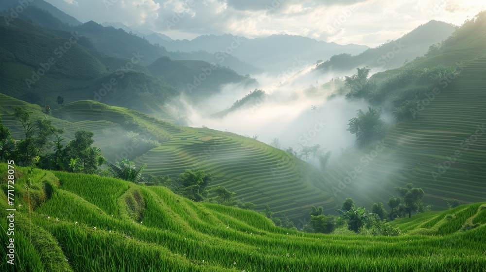 Serene Morning Over Lush Green Terraced Fields and Misty Mountains.
