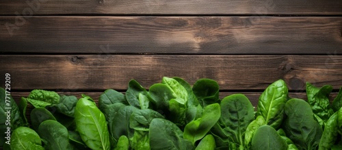 A pile of green spinach leaves sits on a rustic wooden table, showcasing the beauty of a terrestrial plant against the wood flooring