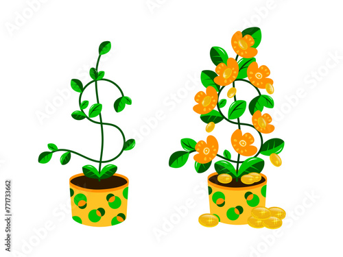 Dollar Tree. Plant with coins.