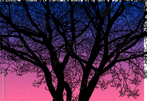 arboles, vector, silueta, paisaje, arbol, florecer, ramas, hojas, bosque, ilustracion, arte, naturaleza, descanso, follaje, textura