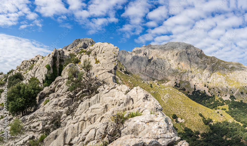 ridge and Puig de Ses Vinyes (1109mts), Escorca, Natural area of the Serra de Tramuntana., Majorca, Balearic Islands, Spain