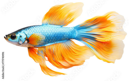 A mesmerizing gold and blue fish gracefully swimming in a tranquil white sea