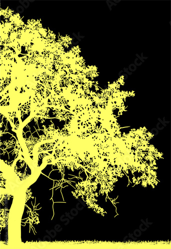 arboles, vector, silueta, paisaje, arbol, florecer, ramas, hojas, bosque, ilustracion, arte, naturaleza, descanso, follaje, textura
