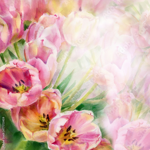 Pink tulips floral background. Watercolor illustration.