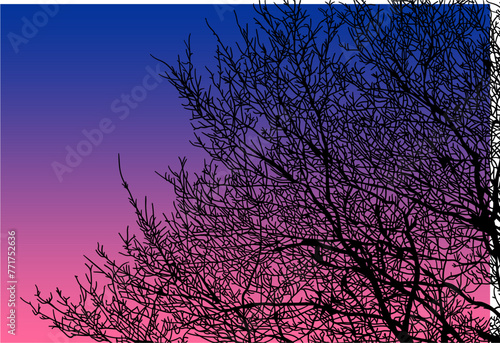 arboles, vector, silueta, paisaje, arbol, florecer, ramas, hojas, bosque, ilustracion, arte, naturaleza, descanso, follaje, textura