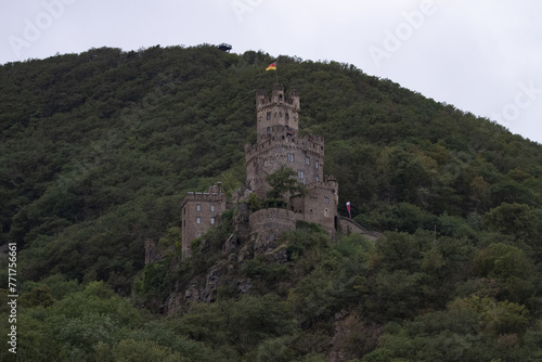 Croisière sur le Rhin romantique, au pays des châteaux