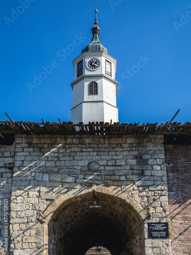Sahat Kula tower and gate of Belgrade Fortress in Kalemegdan Park in Belgrade, Serbia photo