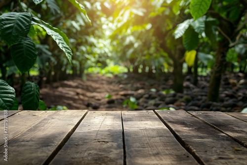 empty wooden table with a cocoa tree plantation background, placement product background