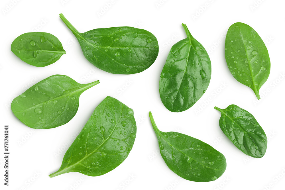 Baby spinach leaves isolated on white background. Top view. Flat lay Baby spinach leaves isolated on white background. Top view. Flat lay