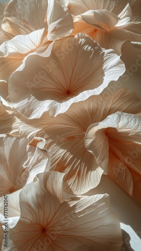 Cluster of Flowers on Branch