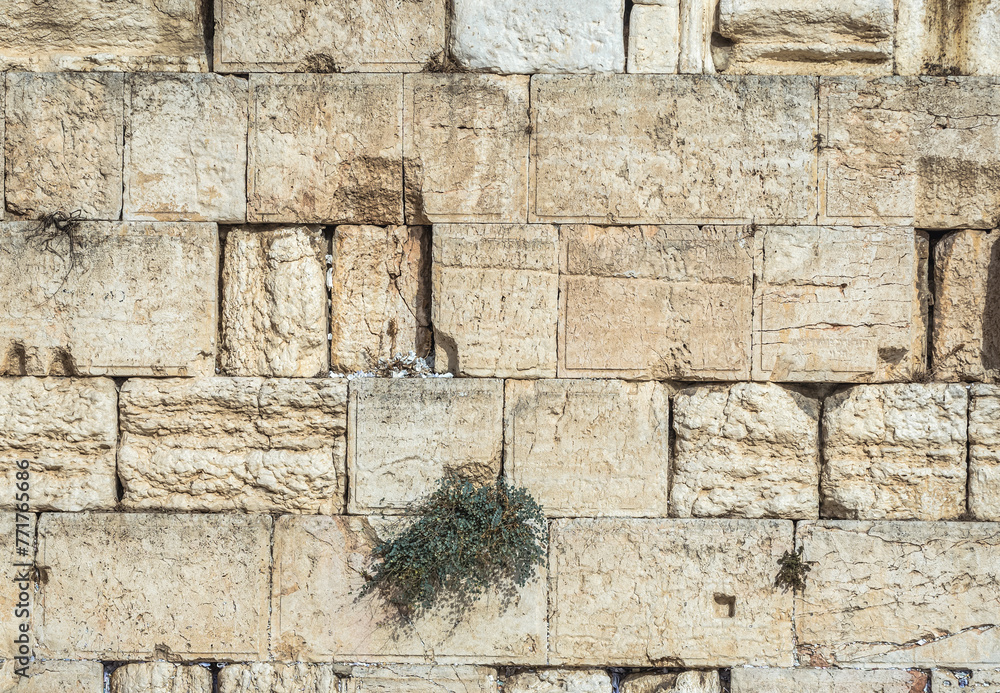 People prays in front of Western Wall also known as Wailing Wall in Jerusalem, Israel