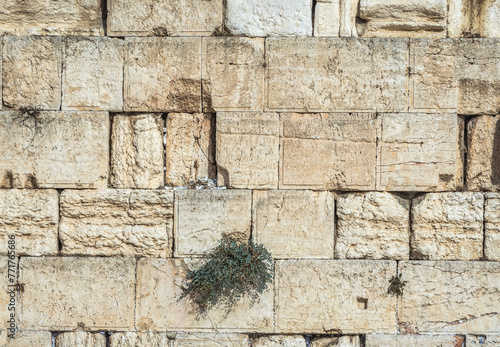 Obraz na płótnie People prays in front of Western Wall also known as Wailing Wall in Jerusalem, Israel w salonie
