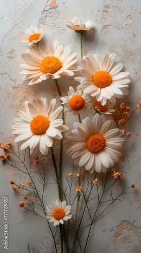 Cluster of Daisies on White Background