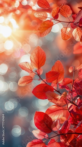 Group of People Standing Under Tree