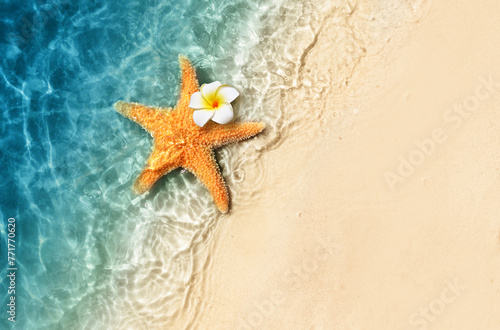 Starfish and flower on the summer beach in sea water. Summer background. © Belight