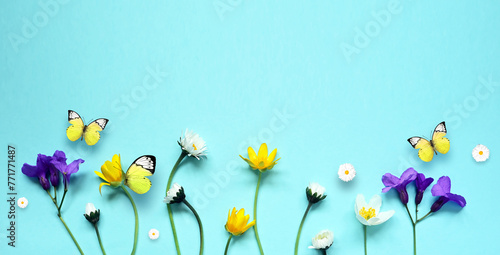 Set with beautiful meadow flowers on blue background.