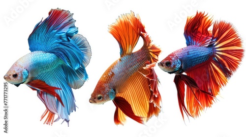Photo realistic small little animal betta  set collection. Isolated on white background Generative AI © Dvid