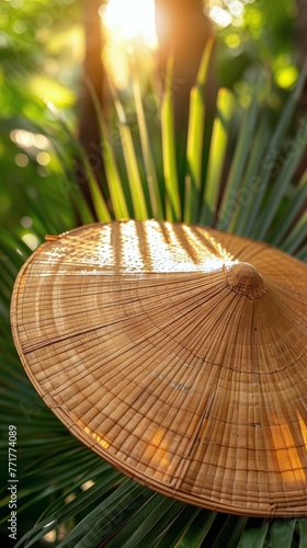 Close-Up of Bamboo Hat on Palm Tree
