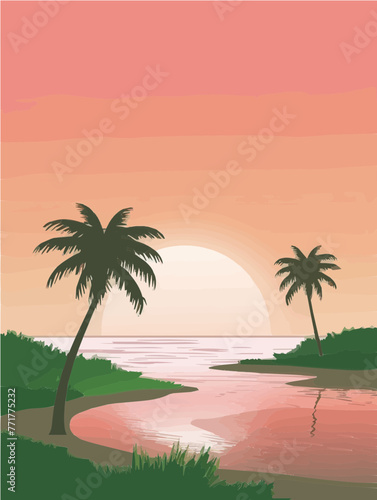 palm tree on the beach