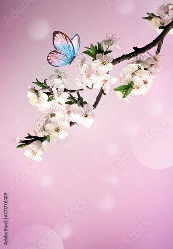 Blossom tree over nature background with butterfly. Spring flowers. Spring background.