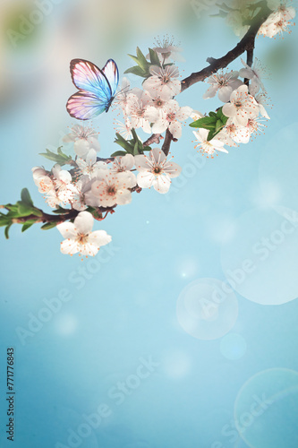 Blossom tree over nature background with butterfly. Spring flowers. Spring background.