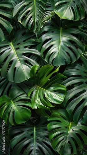 Green Leaves Adorning Wall
