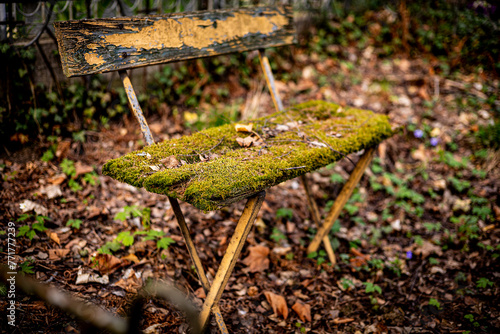 Stara zarośnięta mchem ławka. © Oktawian