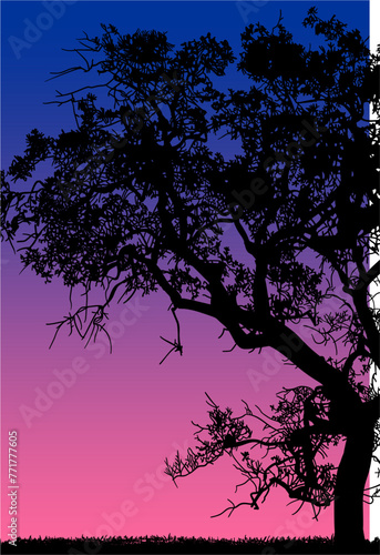 arboles, vector, silueta, paisaje, arbol, florecer, ramas, hojas, bosque, ilustracion, arte, naturaleza, descanso, follaje, textura