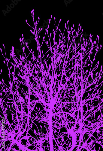 arboles, vector, silueta, paisaje, arbol, florecer, ramas, hojas, bosque, ilustracion, arte, naturaleza, descanso, follaje, textura
