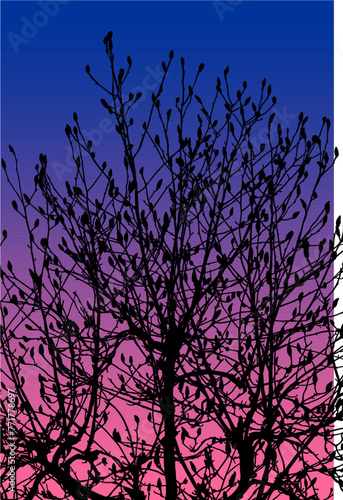 arboles, vector, silueta, paisaje, arbol, florecer, ramas, hojas, bosque, ilustracion, arte, naturaleza, descanso, follaje, textura