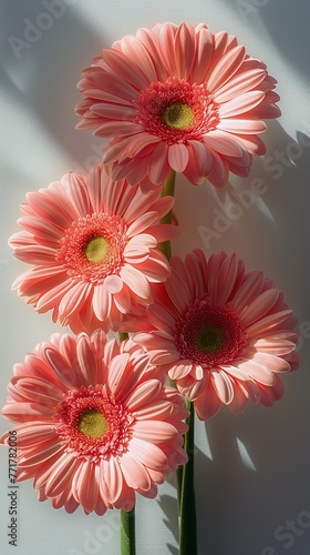 Cluster of Orange Flowers on Table