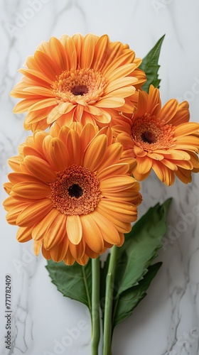 Cluster of Orange Flowers on Table