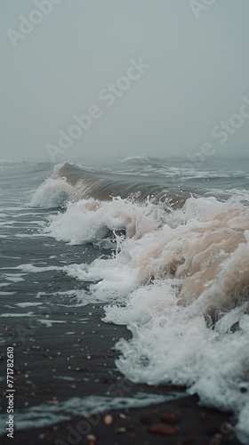 Seashore in Black and White