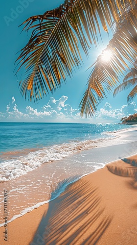 Beach View Under Palm Tree