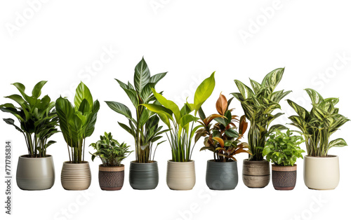 A creative display of potted plants stacked on top of each other, creating a unique and imaginative tower of greenery