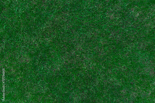 Green grass natural texture surface background top view nature abstract pattern backdrop