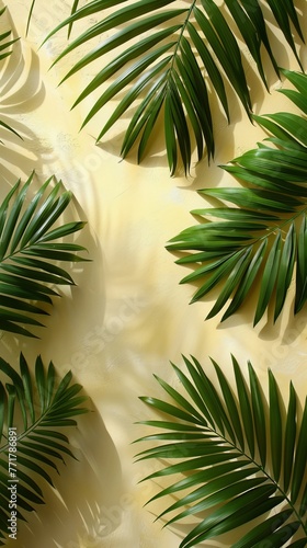 Green Leaves Surrounding Starburst