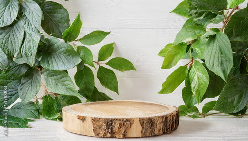 Round wooden podium for presentation. Natural pedestal and green leaves. empty product placement.