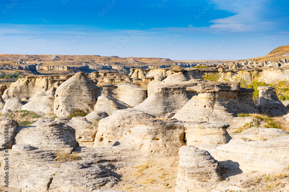 Fototapeta premium Writing on stone historic provincial park in Alberta Canada