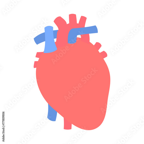 ヒトの心臓。フラットなベクターイラスト。
Human heart. Flat vector illustration.