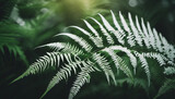 White fern on green background, generative ai