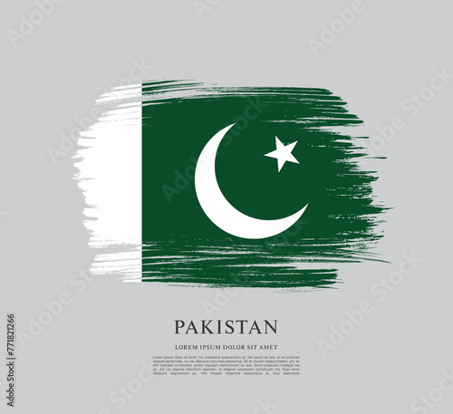 Flag of Pakistan, vector illustration 