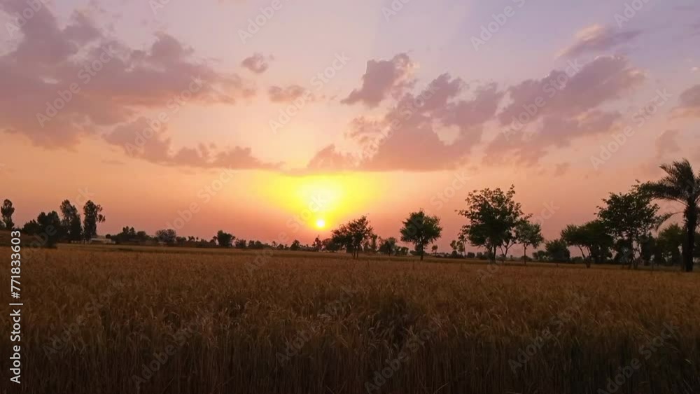 A view of the sunrise in the village. A view of the sunrise in the village.