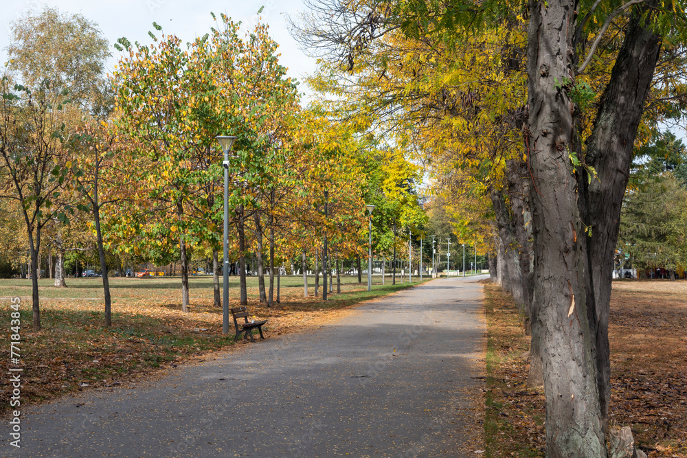 Naklejka premium Autumn view of South Park in city of Sofia, Bulgaria
