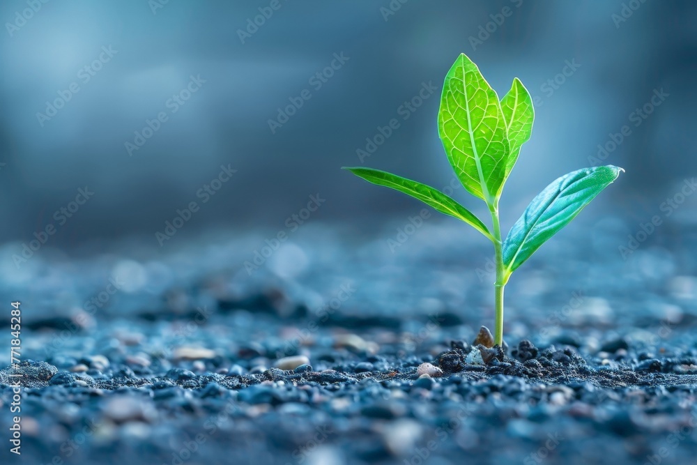 A reflection on the power of small actions to make a big impact A reflection on the power of small actions to make a big impact